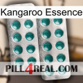 Kangaroo Essence dapoxetine2